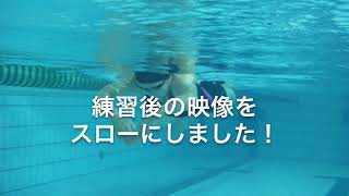 チームHATTA様 手の甲の向きは？ スカーリング 20190830 一礼会