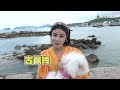 寵愛pet pet｜花絮｜寵物診所有幾歡樂？｜周嘉洛｜林夏薇｜甜寵｜喜劇｜tvb港劇精華