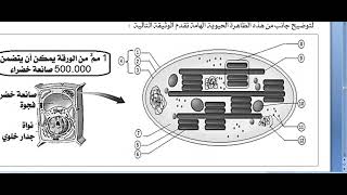 تصحيح التمرين الاول الموضوع الثاني باك2022