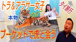 【プーケット】プーケットでトラ🐯とふれあいました！トラって怖いですよ（笑）タイガーキングダムの場所、料金、事前に知っておいた方が良い情報などプーケット旅行に行かれる方の参考になればと思います。