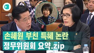 '손혜원 부친 독립유공자 특혜 선정' 논란 재점화/비디오머그