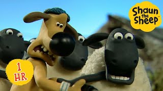 Tidy Up 🧹 Shaun the Sheep | 1 HOUR Full Episodes Compilation ⏰ #ShauntheSheep