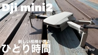 【dji mini2】4K Drone 199gドローン／空撮＃001 飛ばすのが楽しみ