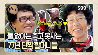 588-1 77년 동안 한 번도 다툰 적도 없고 삐진 적도 없다는 초도의 단짝 할머니들