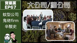 寶藥黨 EP 67－ 大公司/細公司？｜如何在蚊型鬼佬firm十年練得一身好武功！？｜細公司辛酸史