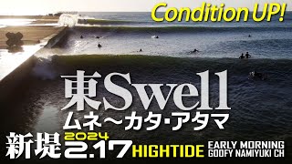 片貝新堤サーフィン波情報【東SwellコンディションUP】2024年2月17日