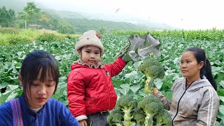 single mother harvesting cauliflower to sell - home repair - cooking