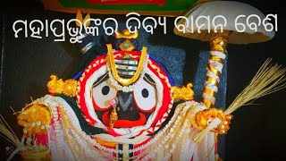 ମହାପ୍ରଭୁଙ୍କର ଦିବ୍ଯ ବାମନ ବେଶ ।।Bamana Basa -2021