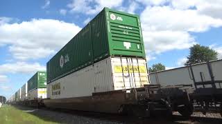 NS 205 with NS 9562 on the point in Stryker, OH