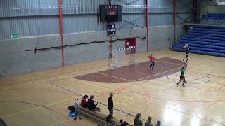 Samenvatting Dames 2 HUBO Handbal vs DHC Waasmunster.