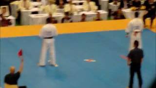 Kyokushin Karate 10th World Open Estensoro VS Akaishi 2011.11.06