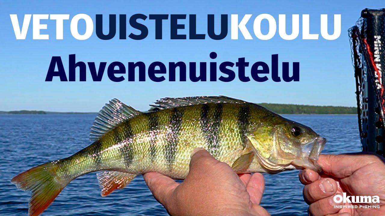 Ahvenenuistelu Vetouistelukoulu Youtube