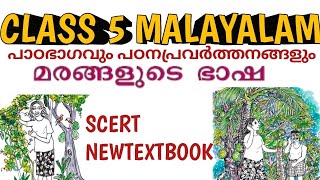 Class 5 Malayalam chapter മരങ്ങളുടെ ഭാഷ പാഠഭാഗവും പഠനപ്രവർത്തനങ്ങളും scert newtextbook