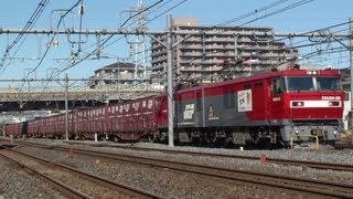 JR貨物　EH500-20牽引コキ５００００×１０　６０９６レ　与野付近　2013/01/28