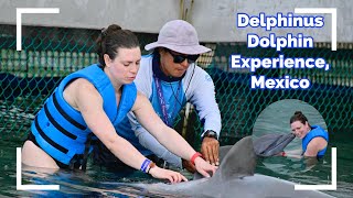 This was INCREDIBLE! Swim with Dolphins at Delphinus Punta Cancun Mexico!