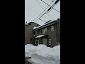 210123 上越高田一斉雪下ろし風景3