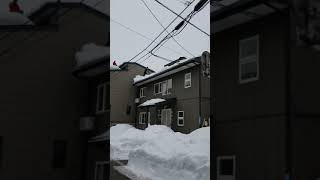 210123 上越高田一斉雪下ろし風景3