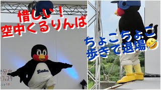 8/27新潟イベントで惜しぃ！空中くるりんぱ‼️最後はちょこちょこ歩きで退場するつば九郎🤣