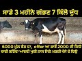 ਸਾਡੇ 3 ਮਹੀਨੇ ਗੱਭਣ 7 ਕਿੱਲੋ ਦੁੱਧ, 6000 ਮੁੱਲ ਵੈੜ ਦਾ #azaddairyfarm #cows #dairy