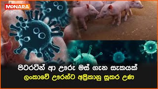 පිටරටින් ආ ඌරු මස් ගැන සැකයක් ලංකාවේ ඌරන්ට අප්‍රිකානු සූකර උණ || #pigvirus