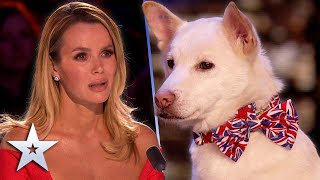 Magical dog proves MIRACLES do exist | Unforgettable Audition | Britain's Got Talent