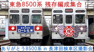 【東急8500系 残存編成集合！】 ～ありがとう8500系 in 長津田検車区撮影会～