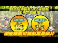 懶人獺社群日就在今天 時時刻刻冒險活動50km活動延長一週 幾項消息 u0026直播預告 【精靈寶可夢go】pokemon go