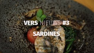 Vers nieuws #3   Sardines