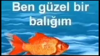 arkadaşımın gece 3'te attığı video 🤣