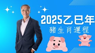 💼2025年乙巳年｜豬生肖運勢 🧠 #流年運程 #2025運程 #生肖運程 #十二生肖運程 #八字 #風水 #奇門遁甲 #運勢 #屬豬生肖