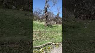 Tornado. Crescent IA. April 26 2024