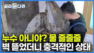 눈에 보이지 않는다고 그대로 방치했다가 정말 큰일 납니다｜증상 나타나면 이미 늦었다｜후회하기 전에 꼭 확인해야 하는 우리집 겨울철 결로 현상｜곰팡이 제거 시공｜극한직업｜#골라듄다큐