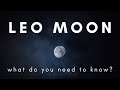 Leo Moon ♌ Tarot Reading | What Do You Need to Know Right Now? | Feb 2023