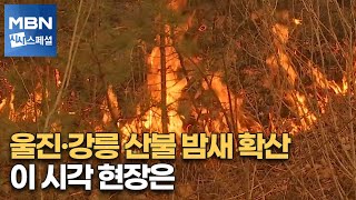 울진·강릉 산불 밤새 확산…이 시각 현장은 [시사스페셜]