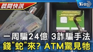 一周騙走24億 三大詐騙手法要注意 金錢「蛇」進來? ATM驚見三級保育類動物｜TVBS晨間快訊｜TVBS新聞20250120 @TVBSNEWS02