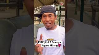 PMK semoga segera Menghilang #sapi #peternaksapi #appsi