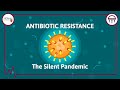 Antibiotic Resistance The Silent Pandemic