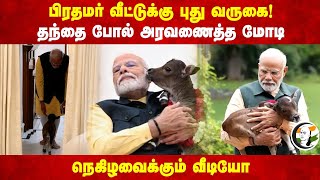 பிரதமர் வீட்டுக்கு புது வருகை! தந்தை போல் அரவணைத்த Modi | Viral Video | Modi's Pet