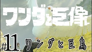 【実況プレイ】ワンダと巨像 #11『ワンダと巨鳥』