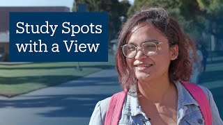 We asked: What's your favorite study spot with a view?