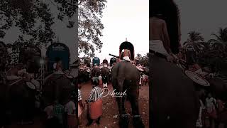 Kallazhi pooram 2025 || കല്ലഴി പൂരം 2025