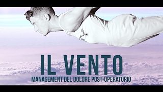 IL VENTO - Management