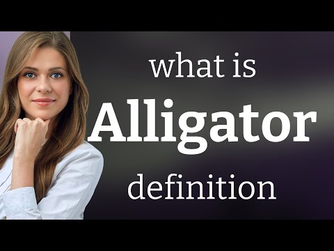 Is alligator a noun or verb?