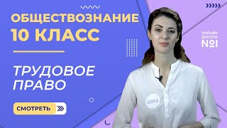 Трудовое право. Видеоурок 23. Обществознание 10 класс