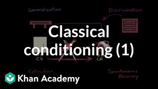 Classical conditioning: Extinction, spontaneous recovery, generalization, discrimination