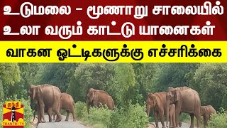 உடுமலை - மூணாறு சாலையில் உலா வரும் காட்டு யானைகள் - வாகன ஓட்டிகளுக்கு எச்சரிக்கை | Elephant