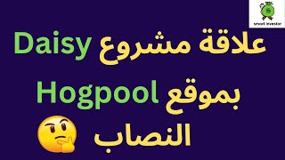 علاقة مشروع Daisy بموقع HogPool النصاب