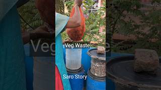 How to use Veg-Waste Fertilizer 👍🏻 | காய்கறி கழிவு எப்படி உரமாக்குவது 🤞🏻 |  Saro Story