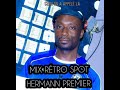 MIX RETRO SPOT BY HERMANN PREMIER 0748018810