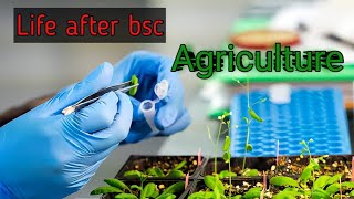 Life After Bsc Agriculture||Agriculture jobs||career and salary||Doctor Of Plants
